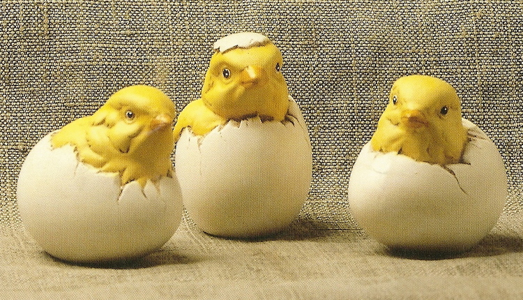 Kyckling i ägg, t.v. S-964