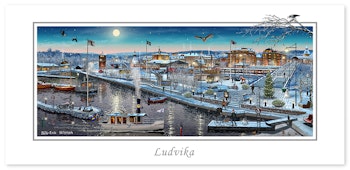 Vinterkort Ludvika