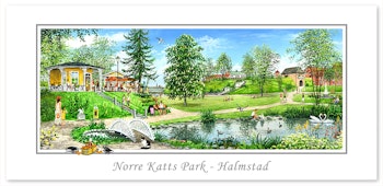 Vykort Halmstad Norre katt