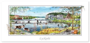 Vykort Lycksele