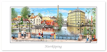 Vykort Norrköping Strykjärnet