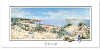 Vykort Halmstad Tylösand