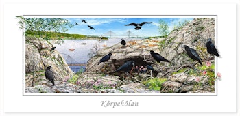Vykort Uddevalla Körpehölan