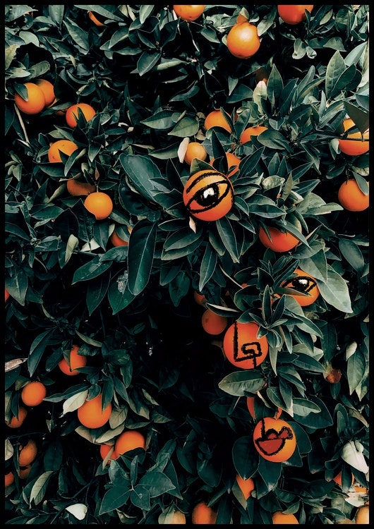 ORANGE IS THE NEW