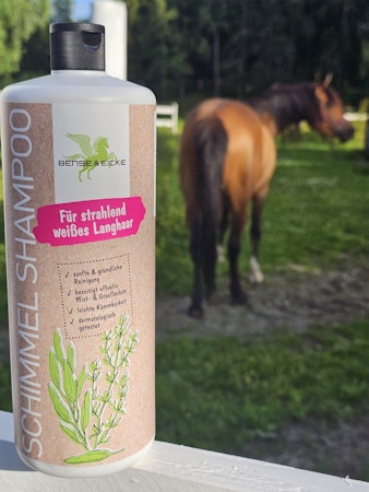 Bense & Eicke Hesteshampoo