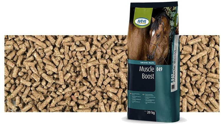AVEVE Muscle Boost 20kg