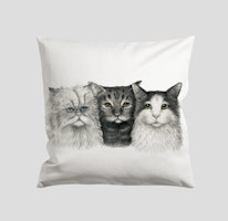 3 Katter kuddfodral