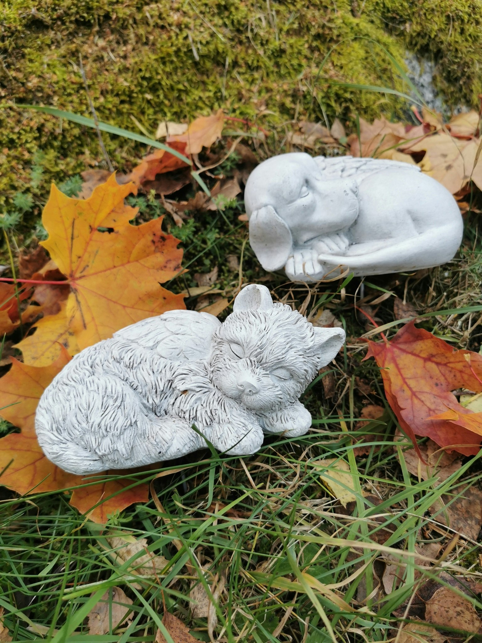 Ängel hund och katt sticks vit liggande