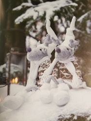 Vinter ren/älg sittande