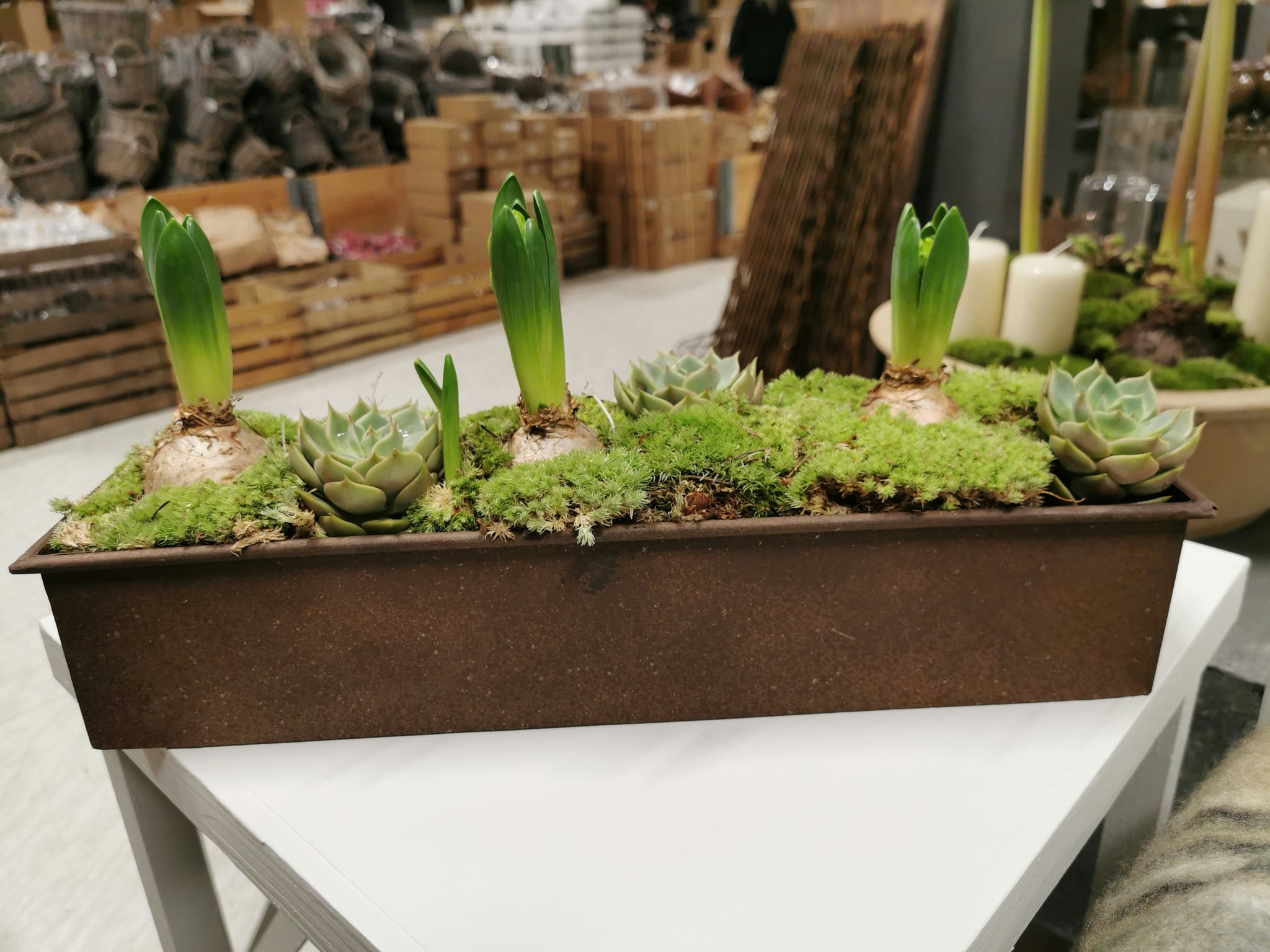 Ragna planteringslådor