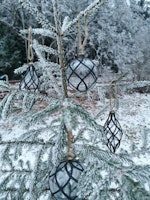 Glaskula 4 pack klarglas med svarta glittiga rutor. .