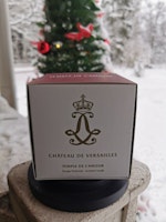 KÄRLEKSLJUSET   TEMLE DE L'AMOUR