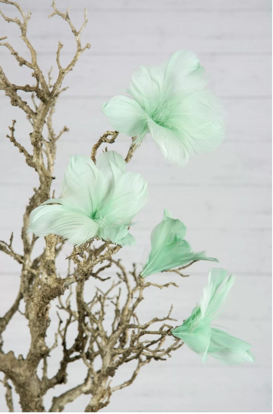 Fjäder blommor trådad