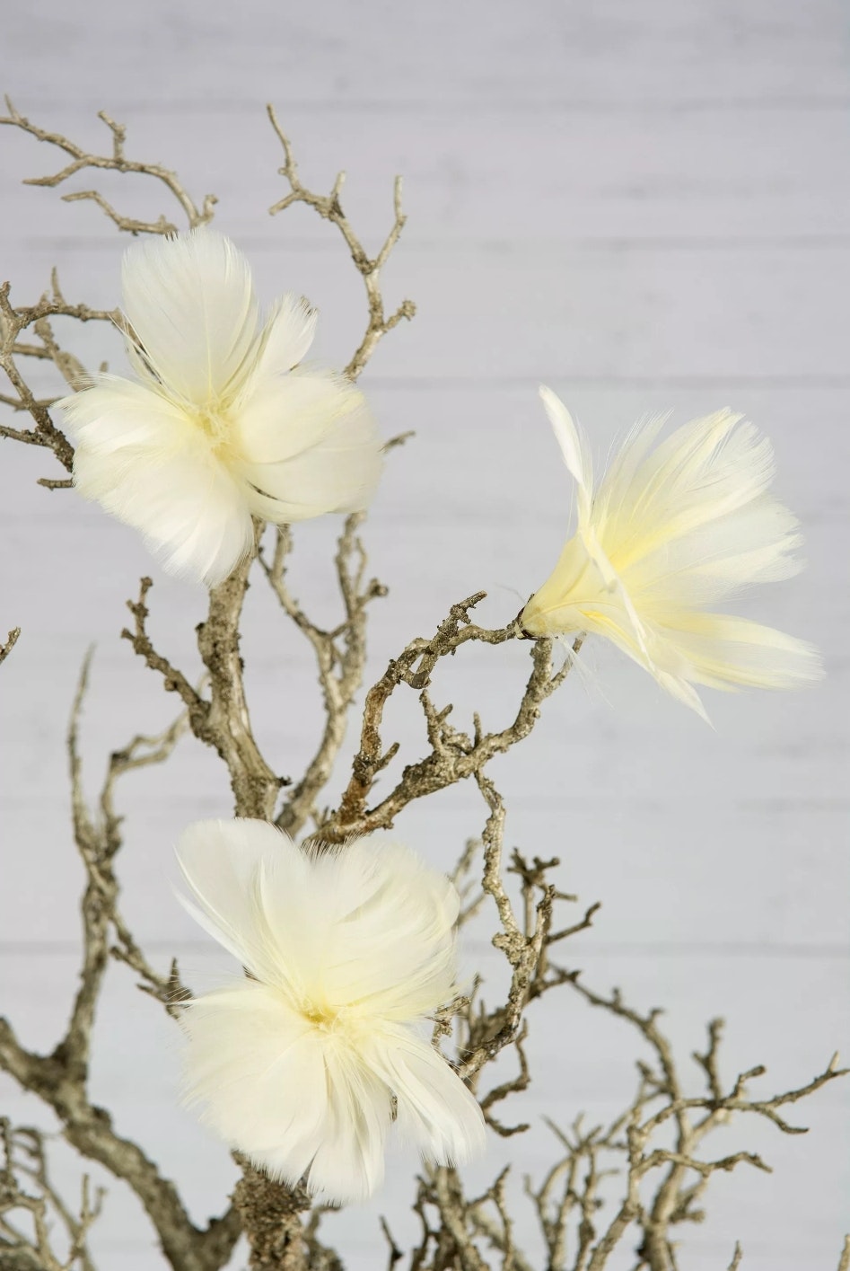Fjäder blommor trådad
