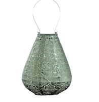 Tulpan 20 cm