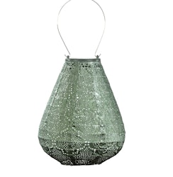 Tulpan 20 cm