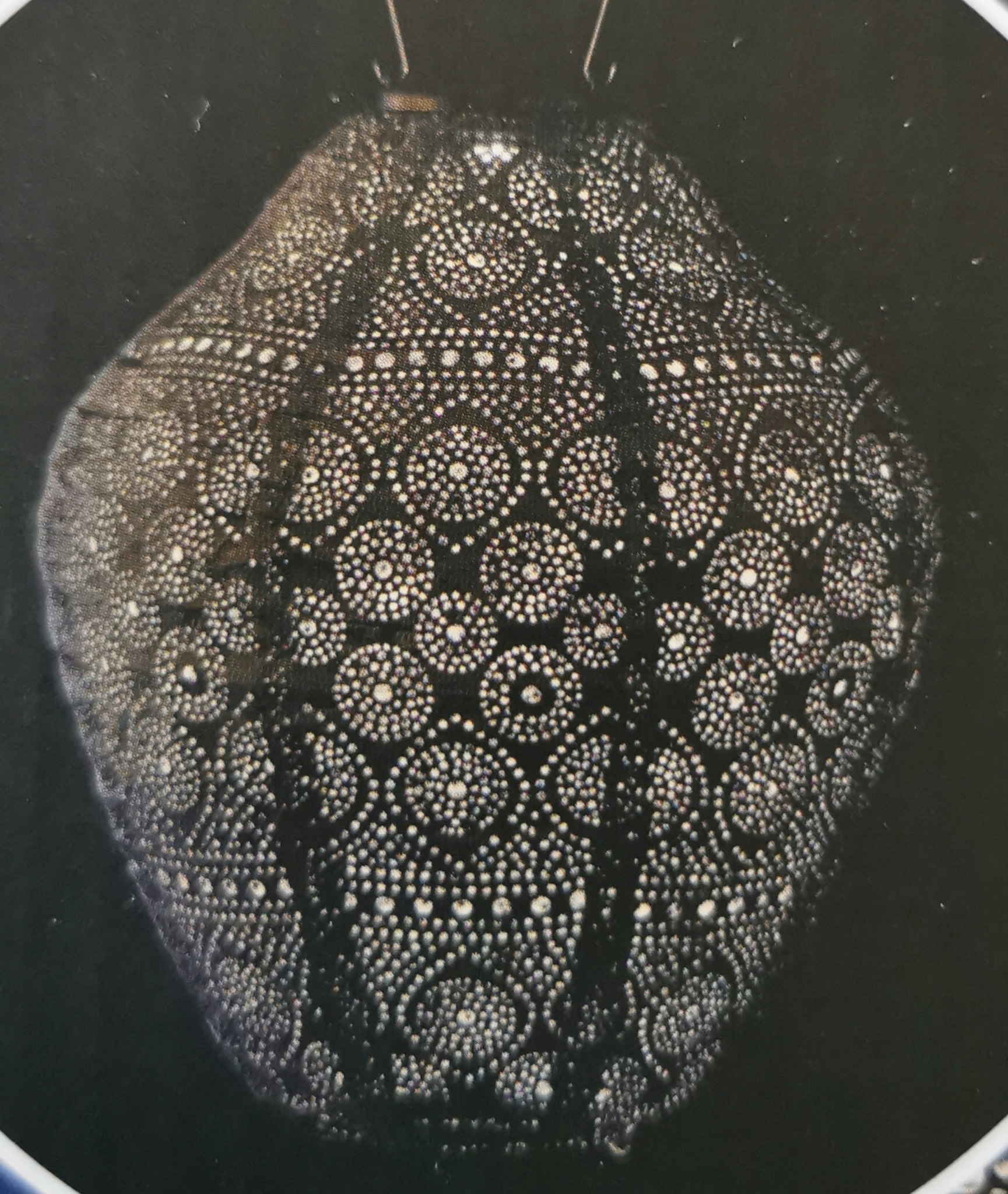 Jar/Burk 30 cm