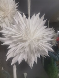 Spiky star Adventsstjärna