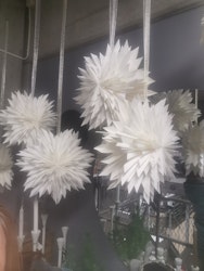 Spiky star Adventsstjärna