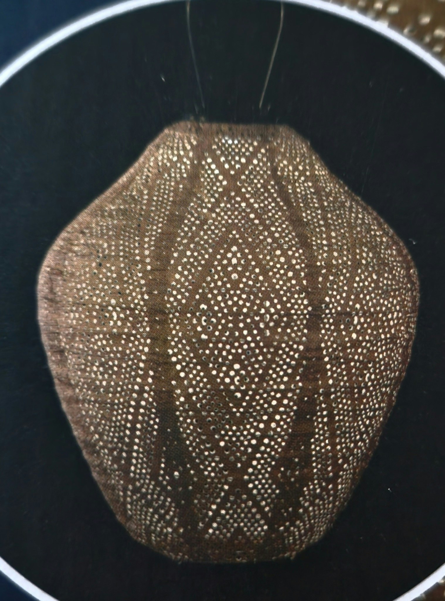 Jar/Burk 30 cm