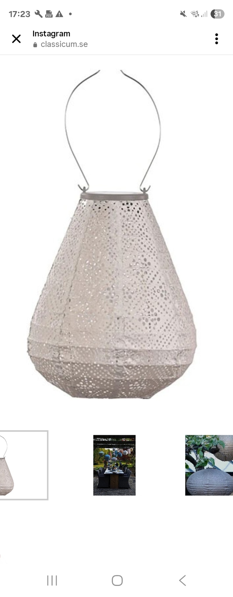 Tulpan 20 cm