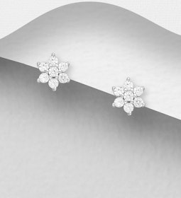 Silverörhängen - små blommor av glittrande cubic stenar