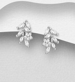 Silverörhängen eleganta örhängen med vackra stenar