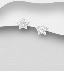Silverörhängen vackra blommor fyllda med cubic zirkonia