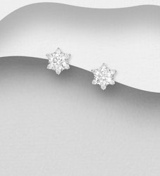Silverörhängen vackra glittrande stjärnor av cubic zirkonia