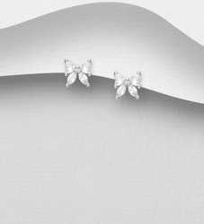 Silverörhängen vackra rosetter av glittrande cubic zirkonia