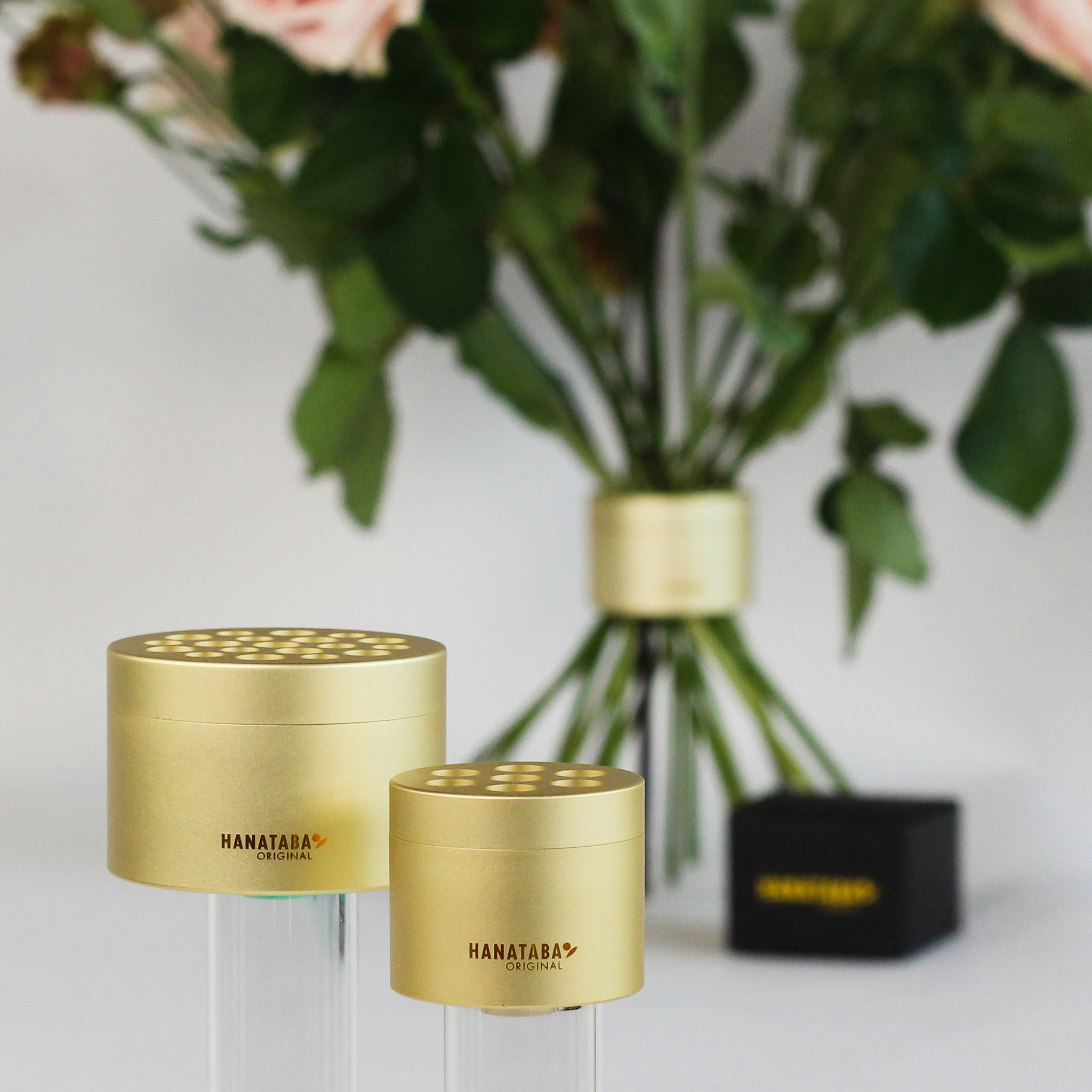 Hanataba Champagne Gold