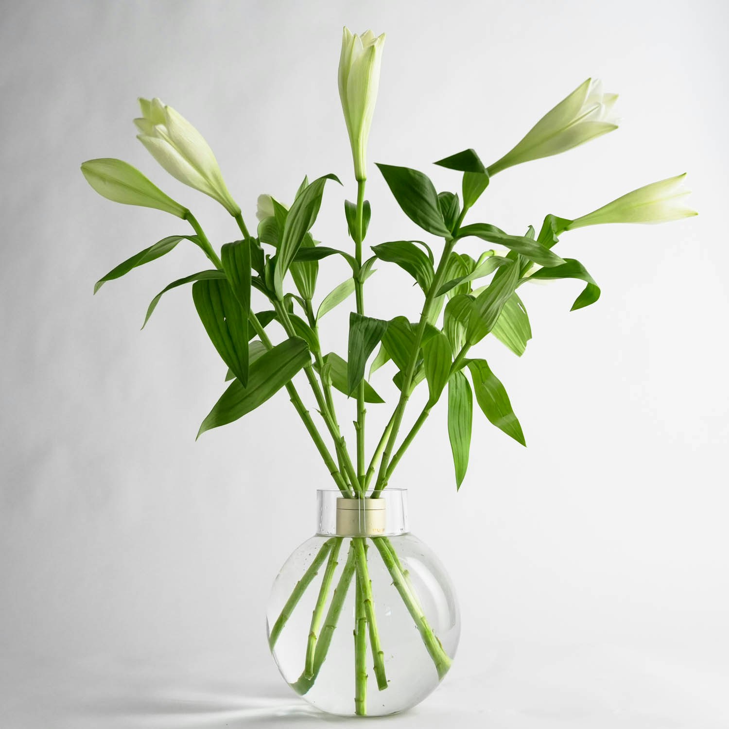 Bubble Vase Glasvas