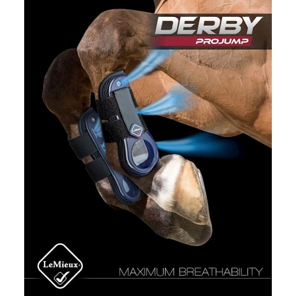 Lemieux Derby Projump Brun
