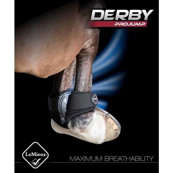Lemieux Derby Projump bakskydd Brun
