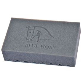 Blue hors svamp