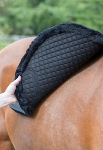 Lemieux Sensitive EuroJump Square Black Large, full