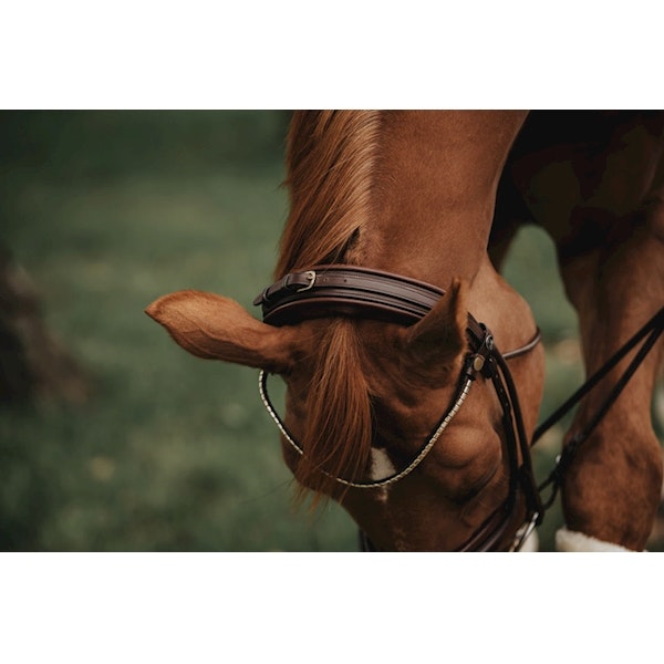 Finesse Träns bridle Brun/Brun