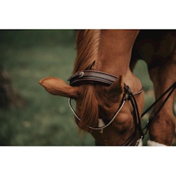 Finesse Träns bridle Brun/Brun