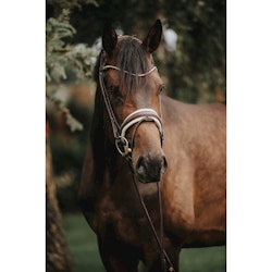 Finesse Träns bridle brun/beige