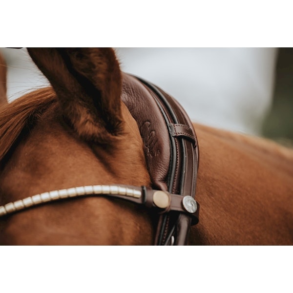 Finesse Träns bridle brun/beige