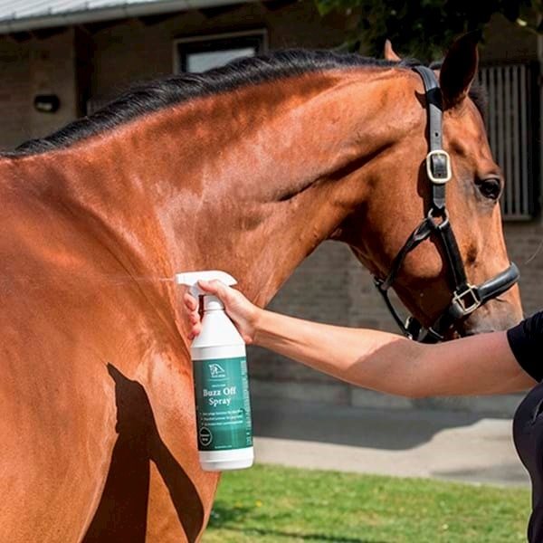 Blue Hors care buzz Spray