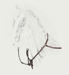 Equiline Förbygel