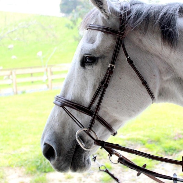 Silver Crown Valla bridle träns full