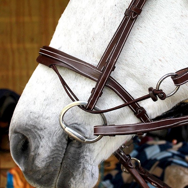 Silver Crown Valla bridle träns full