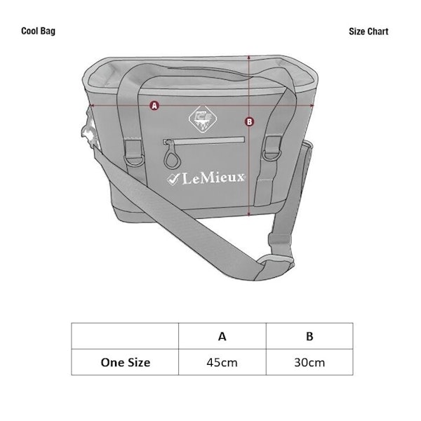 Lemieux Cooling travel bag