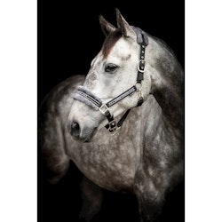 Grimma Horse Unique svart