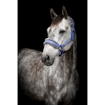 Grimma Horse Unique royal/grå