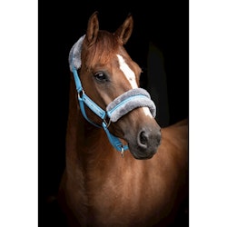 Grimma Horse Unique medelhavsblå/grå