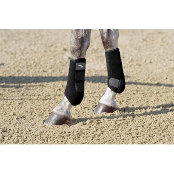 Eskadron Pro Dressage Bak