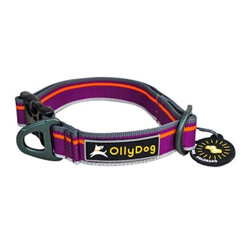 OllyDog Urban Trail Reflective Collar